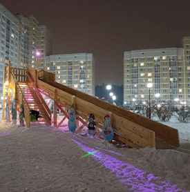 Денис Каракоз